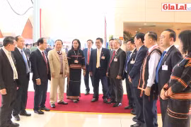 Nhiều ý kiến tâm huyết của đại biểu Gia Lai tại Đại hội XIII của Đảng