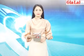 Gia Lai 48h: Cạn kiệt mai rừng