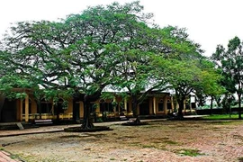 Ngôi trường thuở hoa niên