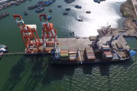 Cảng Quy Nhơn bị 'tố' suất đầu tư cao gấp đôi thị trường