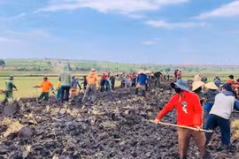 Glar huy động sức dân làm đường nội đồng