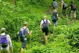 Chuyến xuyên rừng ngày ấy