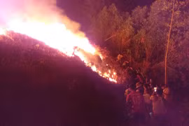 Cả trăm người dân nỗ lực cứu rừng trồng cháy dữ dội trong đêm