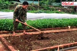 "Thực túc binh cường" ở Đồn Biên phòng Cửa khẩu Quốc tế Lệ Thanh