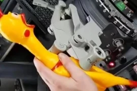 2 phi công bị điều tra sau rò rỉ hình ảnh vận hành bay bằng gà cao su