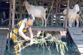 Chư Pưh: Lan tỏa phong trào thi đua sản xuất kinh doanh giỏi