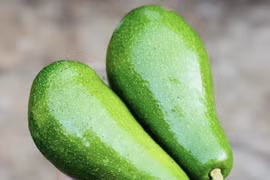 Những tác hại cần lưu ý từ trái bơ khi sử dụng quá nhiều