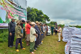 Công ty TNHH Vĩnh Hiệp giúp nông dân liên kết sản xuất cà phê 4C