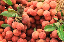 9 lợi ích sức khỏe tuyệt vời của quả vải