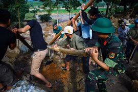 Lũ lớn trên thượng lưu các sông, khẩn trương ứng phó với lũ quét