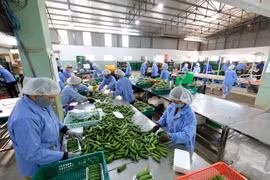 Thêm "cửa" giúp nông sản Việt chinh phục thị trường lớn