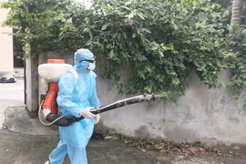 Nguy cơ bùng phát sốt xuất huyết, tay chân miệng