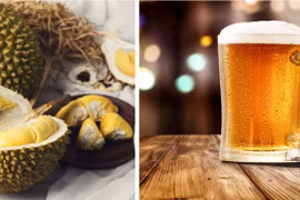 Kết hợp bia và... sầu riêng làm đồ uống có lợi cho sức khỏe