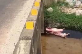 Mất tích sau lễ tổng kết năm học, thi thể nữ sinh lớp 11 được tìm thấy dưới mương nước