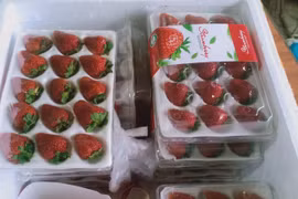 Lâm Đồng: Lại kịp thời phát hiện 370kg dâu tây Trung Quốc chuẩn bị "tuồn" ra chợ Đà Lạt