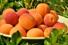 9 lợi ích tuyệt vời của quả đào