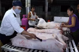 Bộ Công Thương thành lập Đoàn kiểm tra liên ngành mặt hàng thịt lợn