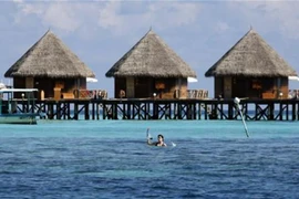 Khu nghỉ dưỡng ở Maldives đón khách, Pháp mở cửa công viên Disneyland