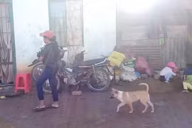 Lâm Đồng: Hàng chục trường hợp mắc "bệnh lạ"