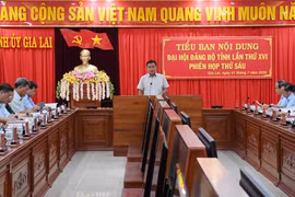 Góp ý dự thảo lần 2 Báo cáo kiểm điểm Ban Chấp hành Đảng bộ tỉnh khóa XV