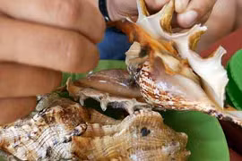 Những món ngon đường phố du khách không nên bỏ qua khi đến Nha Trang