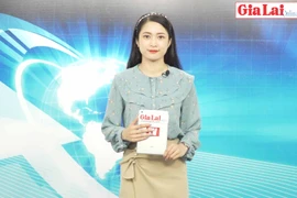 Gia Lai 48h: Tái đàn heo: Chậm nhưng chắc