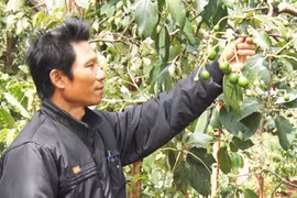 Bí thư chi bộ "hai giỏi"