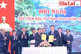 Gia Lai tiếp tục thu hút các nhà đầu tư có thế mạnh phù hợp