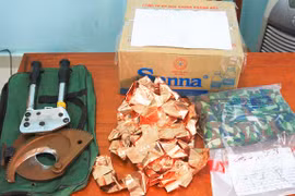 Bắt một thanh niên quê Gia Lai cắt trộm dây cáp điện tại Khánh Hòa