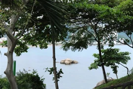 Tạm dừng du lịch lặn biển ở các khu vực dễ bị tổn hại ở vịnh Nha Trang