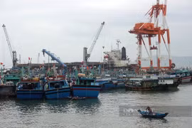 Bình Định: 1 huyện có 5 tàu cá bị nước ngoài bắt giữ, Phó Chủ tịch tỉnh yêu cầu họp kiểm điểm