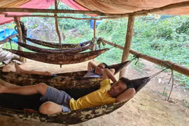 Hát giữa 'lãnh địa' phu vàng