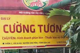 Gia Lai: Xử phạt 300 triệu đồng đối với Đại lý phân bón Cường Tương