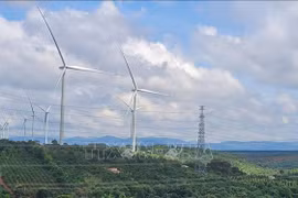 Gia Lai: Kiến nghị giảm thiểu thiệt hại cho các dự án điện gió