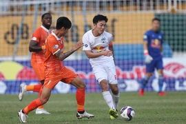 Lịch thi đấu vòng 5 V.League 2022: Tâm điểm HAGL vs Bình Định