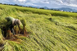 Tăng cường phòng-chống thiên tai và tìm kiếm cứu nạn