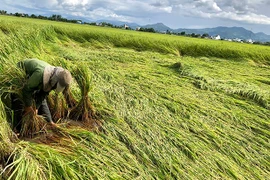 Tăng cường phòng-chống thiên tai và tìm kiếm cứu nạn
