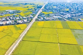 "Mảng màu riêng" của du lịch nông nghiệp