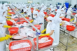 Những bước chạy đà - tiếp sức