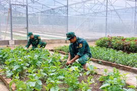 "Thực túc, binh cường"