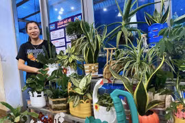 Lan tỏa lối sống xanh