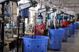 Đừng mãi chỉ là ngành thâm dụng lao động