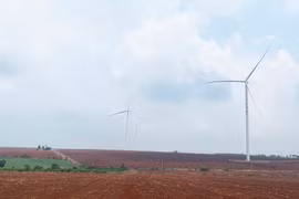 Ủy ban nhân dân tỉnh trả lời cử tri huyện Phú Thiện và Ia Grai