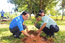 Tổ chức chiến dịch thanh niên tình nguyện "Kỳ nghỉ hồng" tại thị trấn Ia Ly