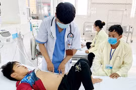 Trong 7 ngày, Gia Lai ghi nhận 323 ca mắc sốt xuất huyết