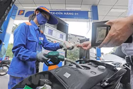 Giá xăng dầu tăng cao, doanh nghiệp vận tải như "cá bơi trên cạn"