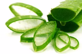 Nha đam mát lành cũng có thể thành 'cực độc' nếu không sử dụng đúng cách