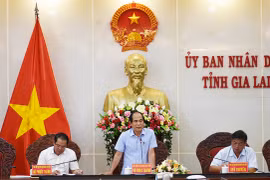 Giai đoạn 2022-2030, Gia Lai phấn đấu chuyển đổi 81.500 ha cây trồng kém hiệu quả