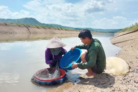 Lao xao mùa hến