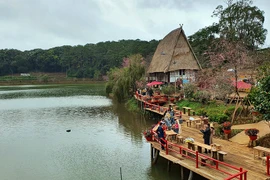 Măng Đen, sức sống cao nguyên